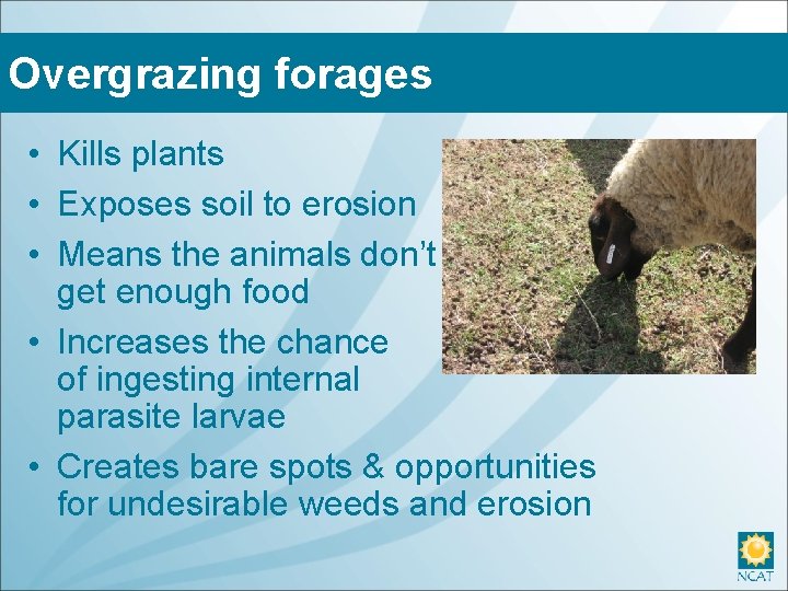 Overgrazing forages • Kills plants • Exposes soil to erosion • Means the animals