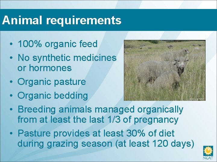 Animal requirements • 100% organic feed • No synthetic medicines or hormones • Organic