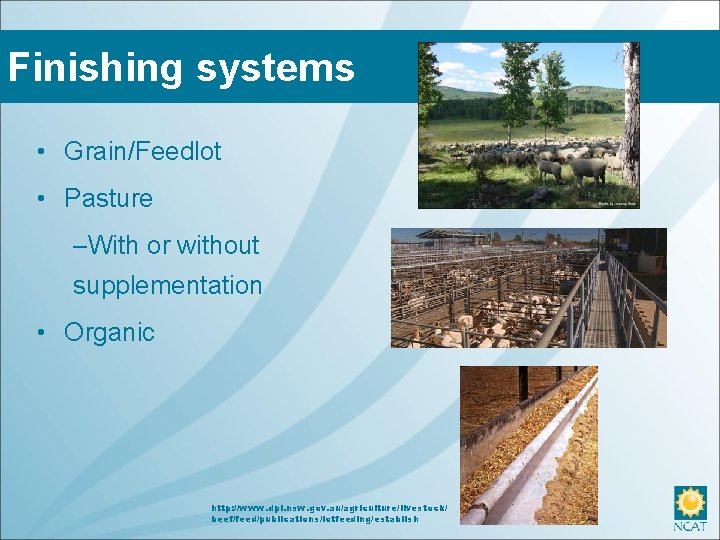 Finishing systems • Grain/Feedlot • Pasture –With or without supplementation • Organic http: //www.
