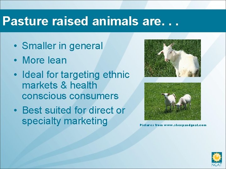 Pasture raised animals are. . . • Smaller in general • More lean •
