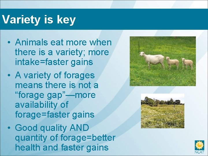 Variety is key • Animals eat more when there is a variety; more intake=faster