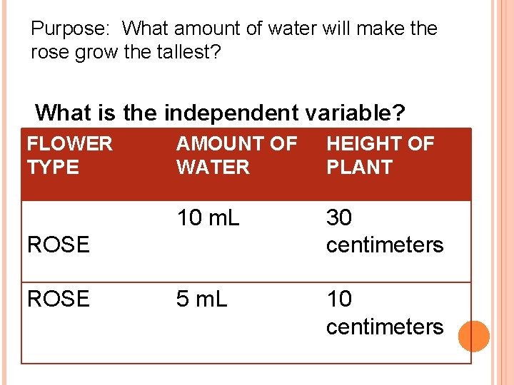 Purpose: What amount of water will make the rose grow the tallest? What is