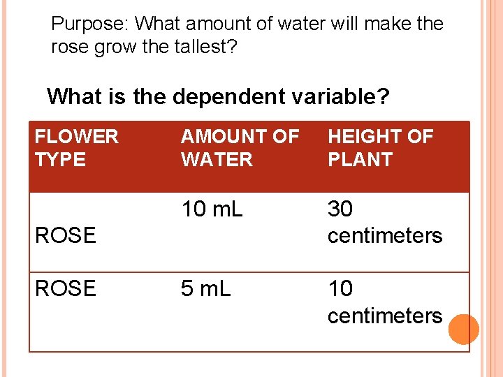 Purpose: What amount of water will make the rose grow the tallest? What is