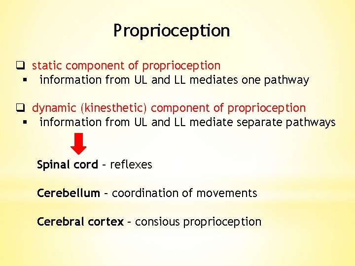 Proprioception q static component of proprioception § information from UL and LL mediates one