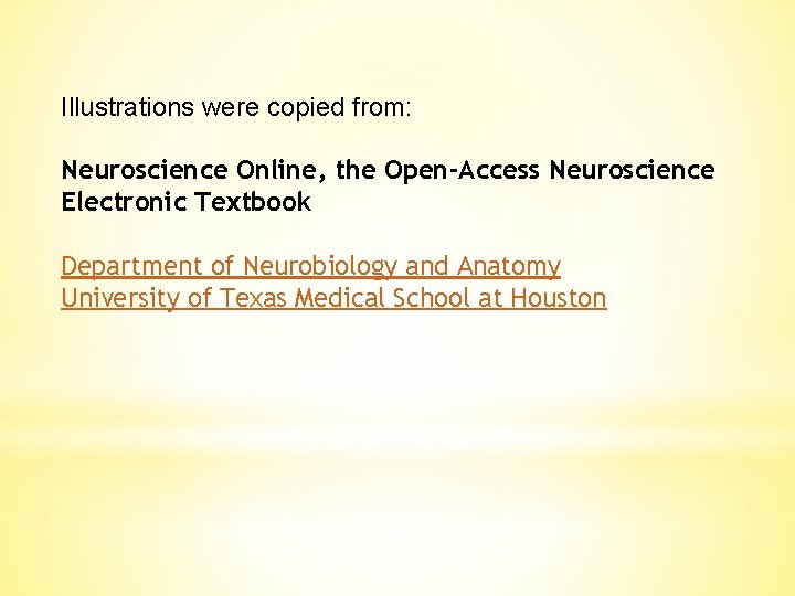 Illustrations were copied from: Neuroscience Online, the Open-Access Neuroscience Electronic Textbook Department of Neurobiology