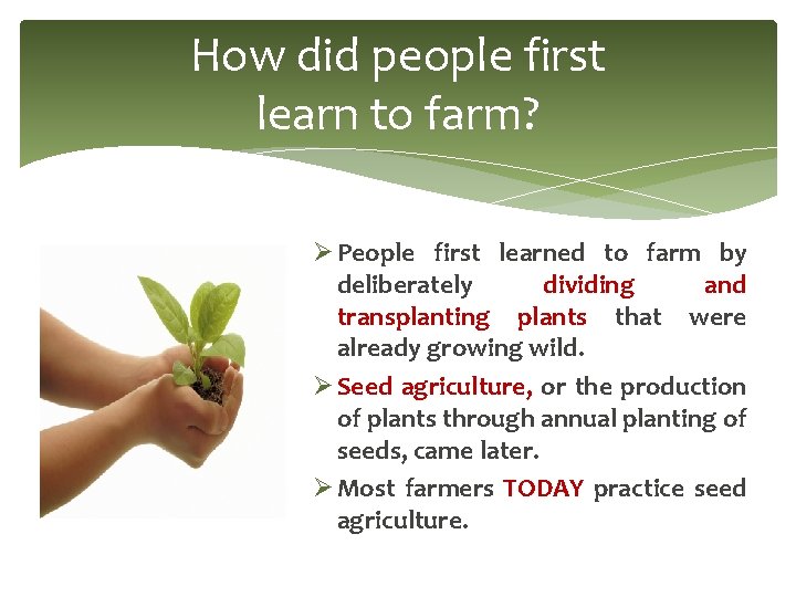 How did people first learn to farm? Ø People first learned to farm by