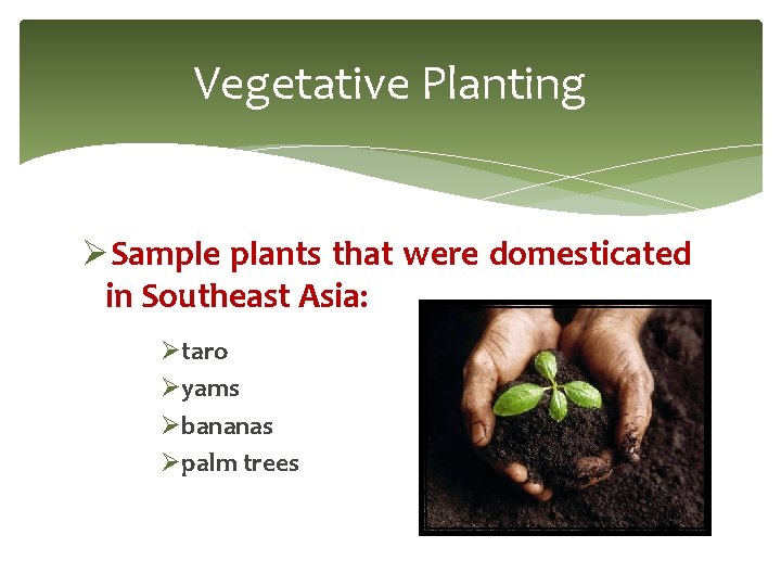 Vegetative Planting ØSample plants that were domesticated in Southeast Asia: Øtaro Øyams Øbananas Øpalm