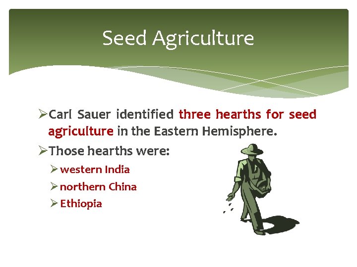 Seed Agriculture ØCarl Sauer identified three hearths for seed agriculture in the Eastern Hemisphere.