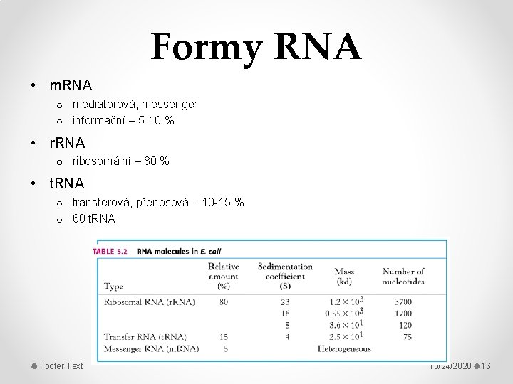 Formy RNA • m. RNA o mediátorová, messenger o informační – 5 -10 %