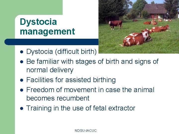Dystocia management l l l Dystocia (difficult birth) Be familiar with stages of birth