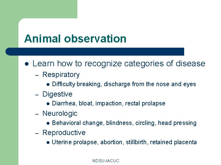Animal observation l Learn how to recognize categories of disease – Respiratory l –