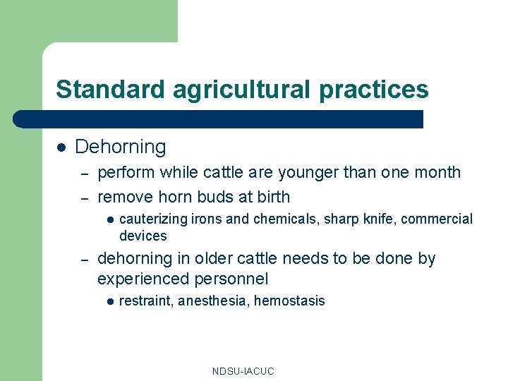 Standard agricultural practices l Dehorning – – perform while cattle are younger than one