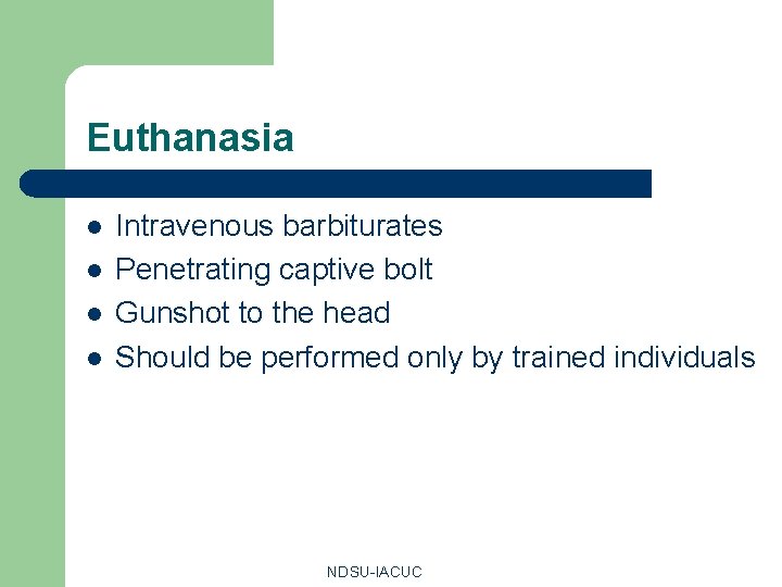 Euthanasia l l Intravenous barbiturates Penetrating captive bolt Gunshot to the head Should be