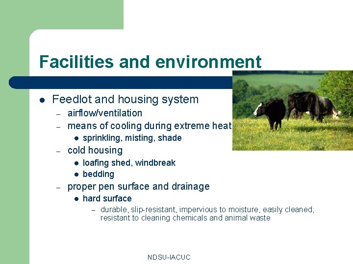 Facilities and environment l Feedlot and housing system – – airflow/ventilation means of cooling