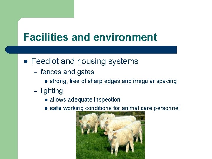 Facilities and environment l Feedlot and housing systems – fences and gates l –