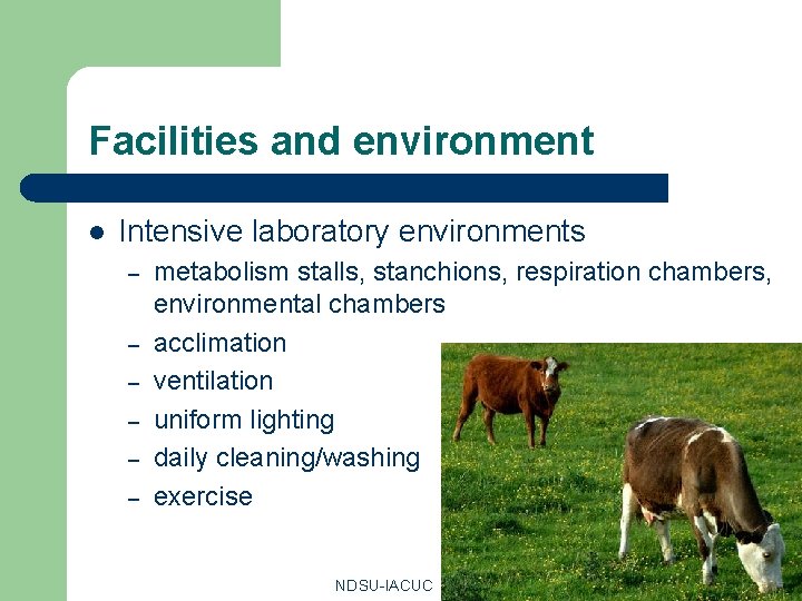 Facilities and environment l Intensive laboratory environments – – – metabolism stalls, stanchions, respiration