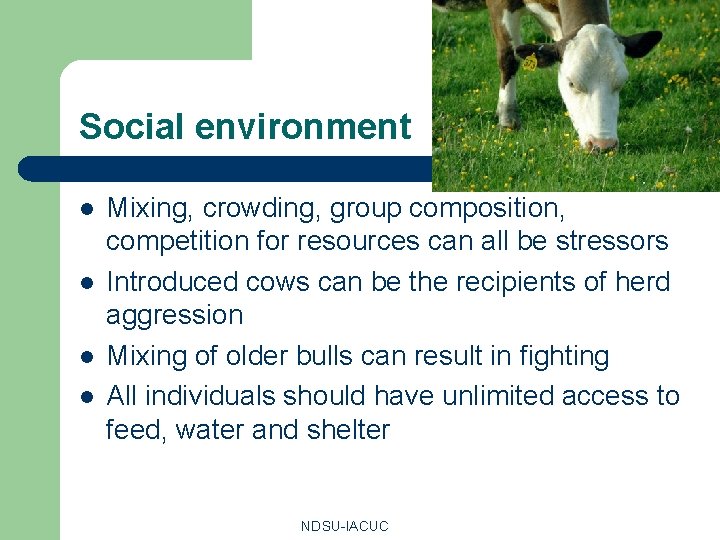 Social environment l l Mixing, crowding, group composition, competition for resources can all be