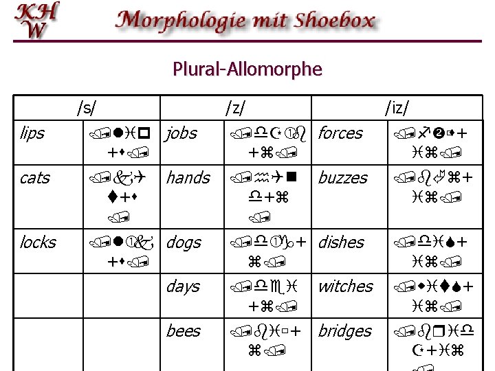 Plural Allomorphe /s/ /z/ lips /lip jobs +s/ cats /k. Q t+s / locks