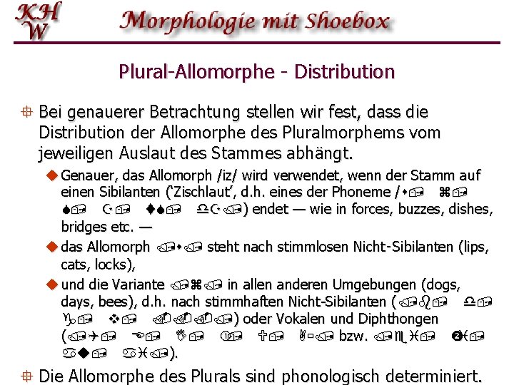 Plural Allomorphe Distribution ° Bei genauerer Betrachtung stellen wir fest, dass die Distribution der