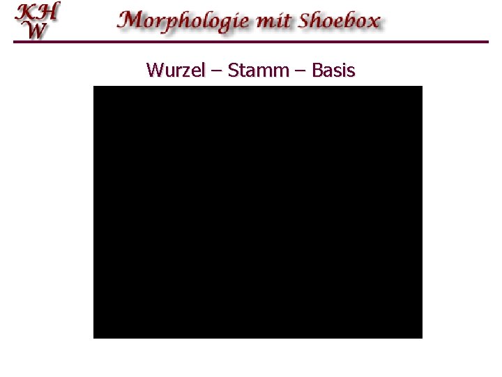 Wurzel – Stamm – Basis 