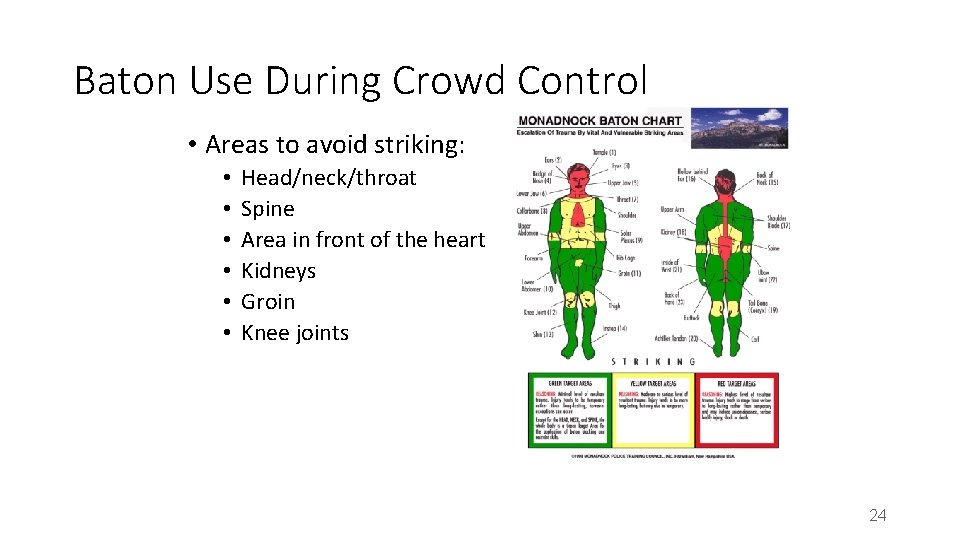 Baton Use During Crowd Control • Areas to avoid striking: • • • Head/neck/throat Baton Use During Crowd Control • Areas to avoid striking: • • • Head/neck/throat