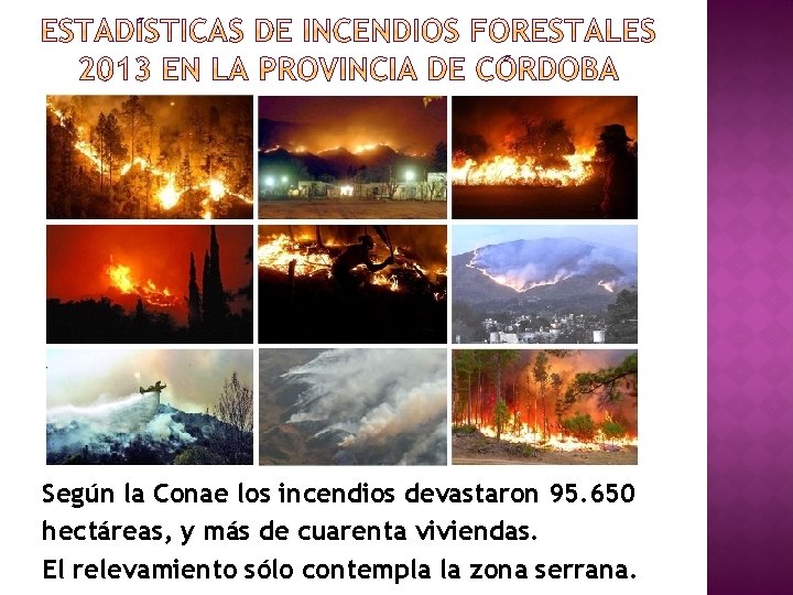 Según la Conae los incendios devastaron 95. 650 hectáreas, y más de cuarenta viviendas.