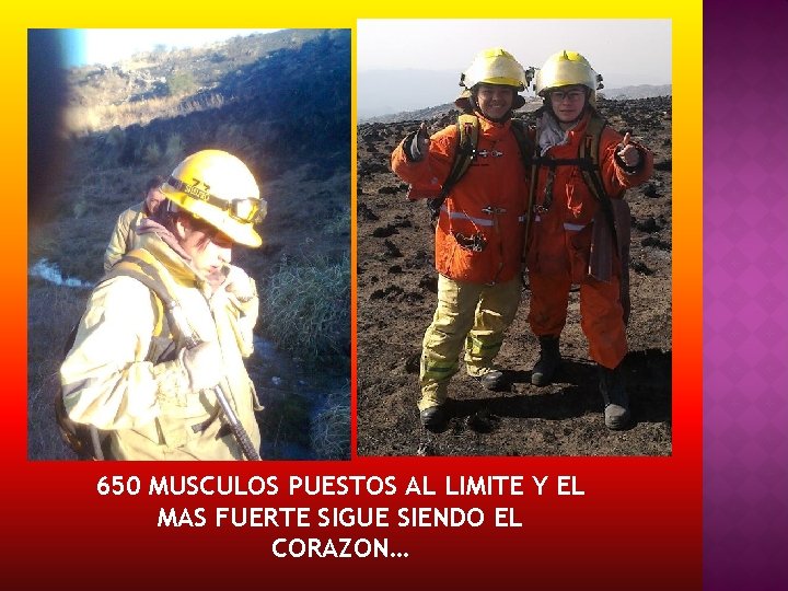 650 MUSCULOS PUESTOS AL LIMITE Y EL MAS FUERTE SIGUE SIENDO EL CORAZON… 