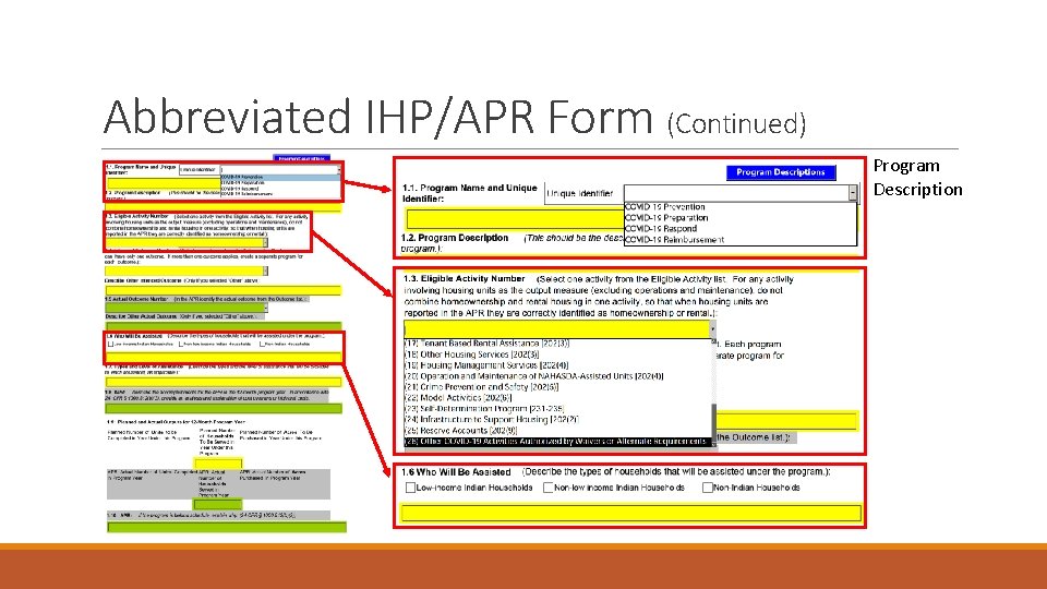 Abbreviated IHP/APR Form (Continued) Program Description 