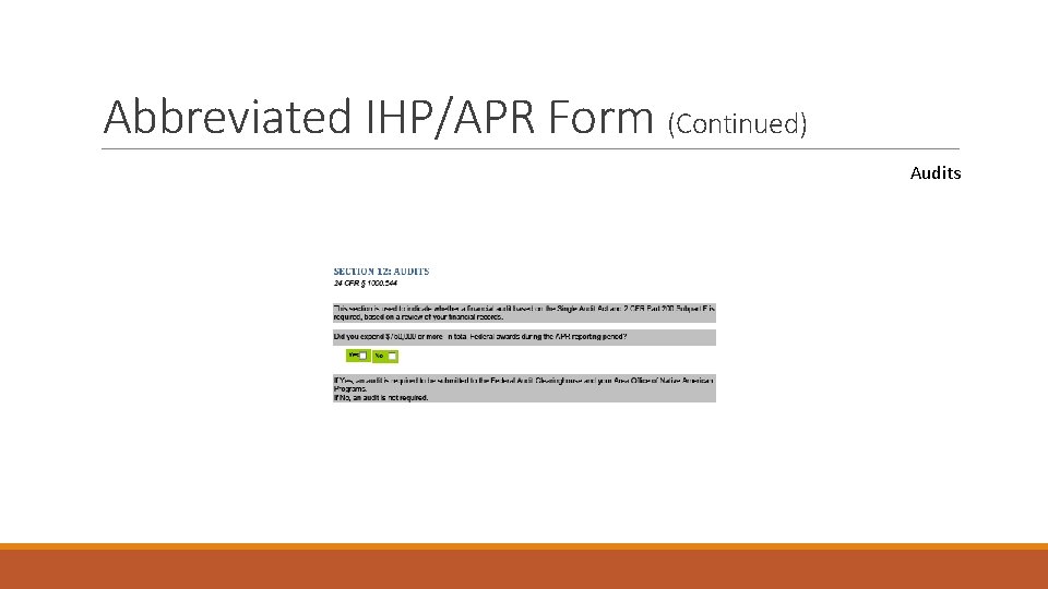 Abbreviated IHP/APR Form (Continued) Audits 