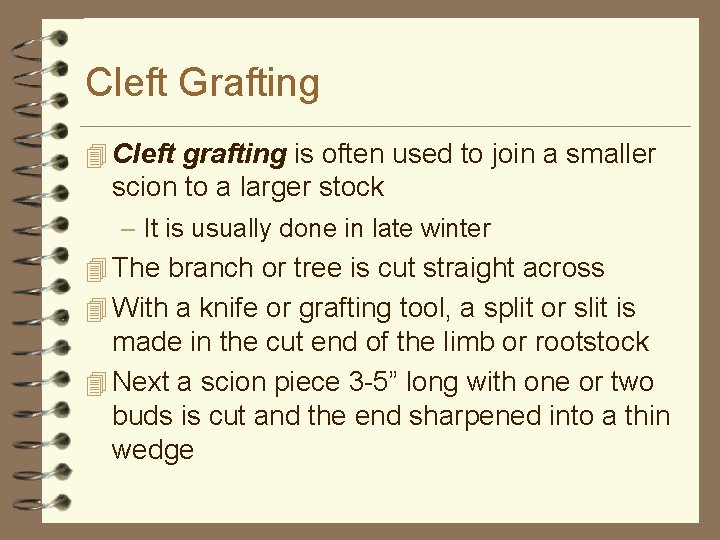 Cleft Grafting 4 Cleft grafting is often used to join a smaller scion to