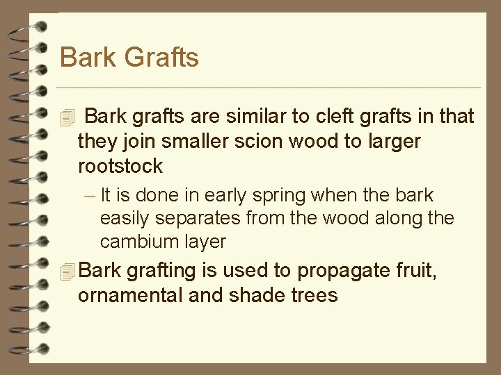 Bark Grafts 4 Bark grafts are similar to cleft grafts in that they join