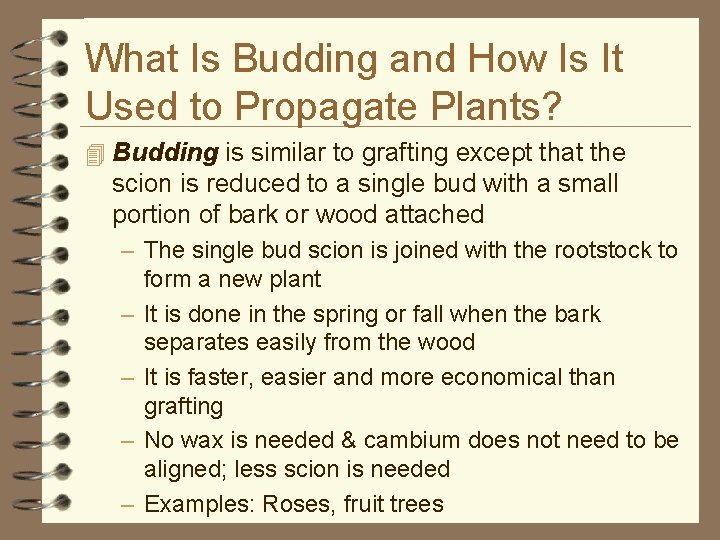 What Is Budding and How Is It Used to Propagate Plants? 4 Budding is