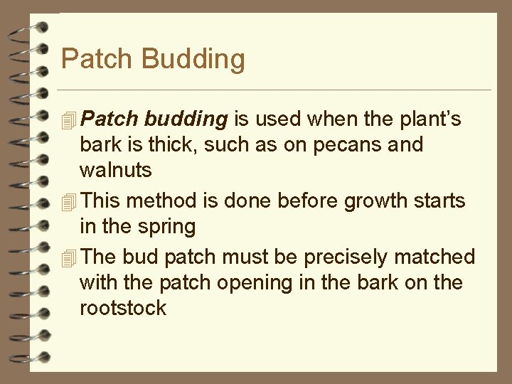Patch Budding 4 Patch budding is used when the plant’s bark is thick, such