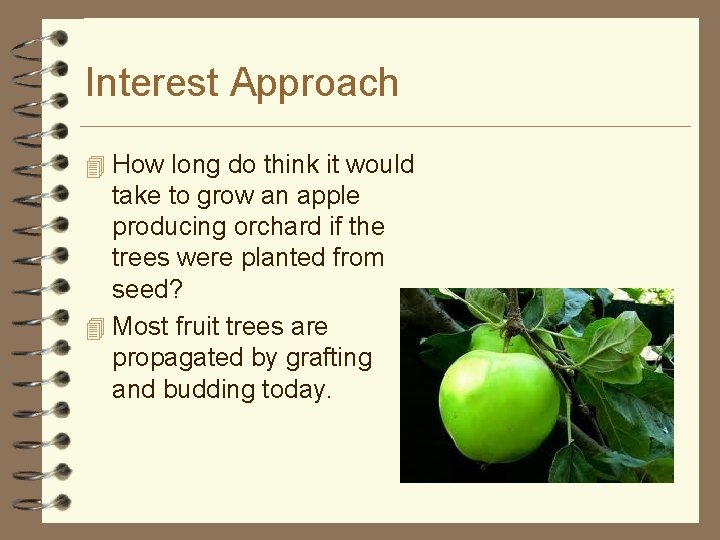 Interest Approach 4 How long do think it would take to grow an apple