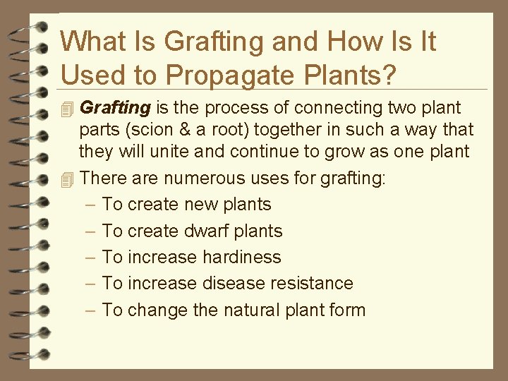 What Is Grafting and How Is It Used to Propagate Plants? 4 Grafting is