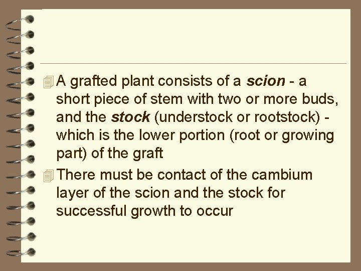 4 A grafted plant consists of a scion - a short piece of stem