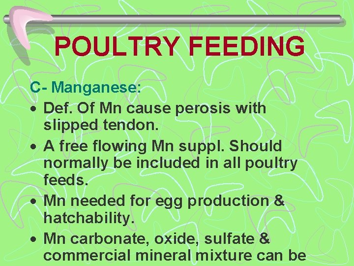 POULTRY FEEDING C- Manganese: · Def. Of Mn cause perosis with slipped tendon. ·