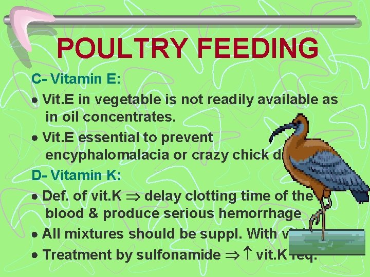 POULTRY FEEDING C- Vitamin E: Vit. E in vegetable is not readily available as