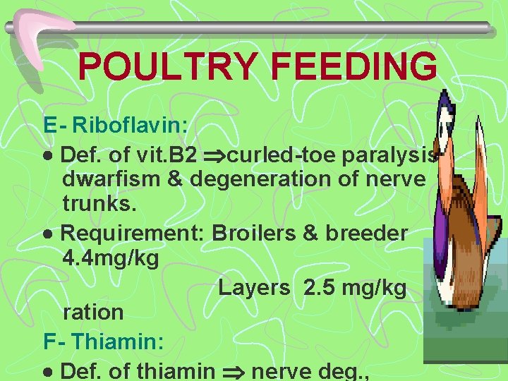 POULTRY FEEDING E- Riboflavin: Def. of vit. B 2 curled-toe paralysis, dwarfism & degeneration