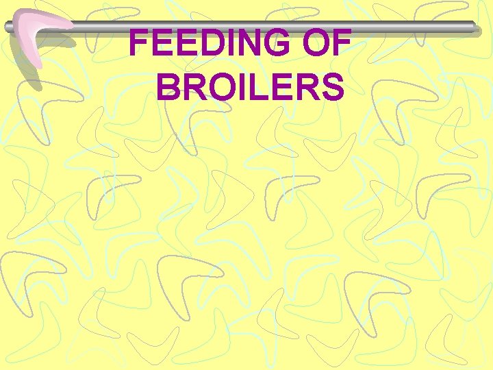 FEEDING OF BROILERS 