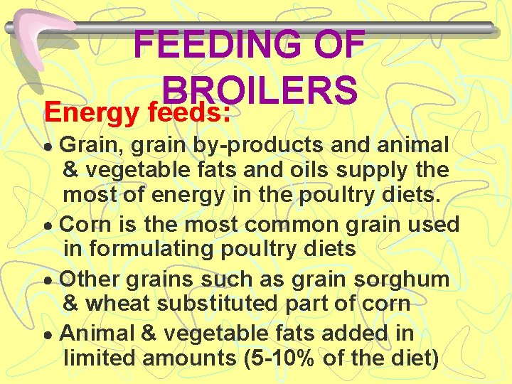 FEEDING OF BROILERS Energy feeds: Grain, grain by-products and animal & vegetable fats and