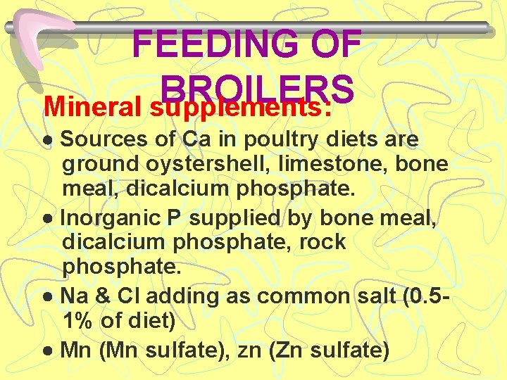 FEEDING OF BROILERS Mineral supplements: Sources of Ca in poultry diets are ground oystershell,