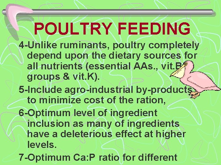 POULTRY FEEDING 4 -Unlike ruminants, poultry completely depend upon the dietary sources for all