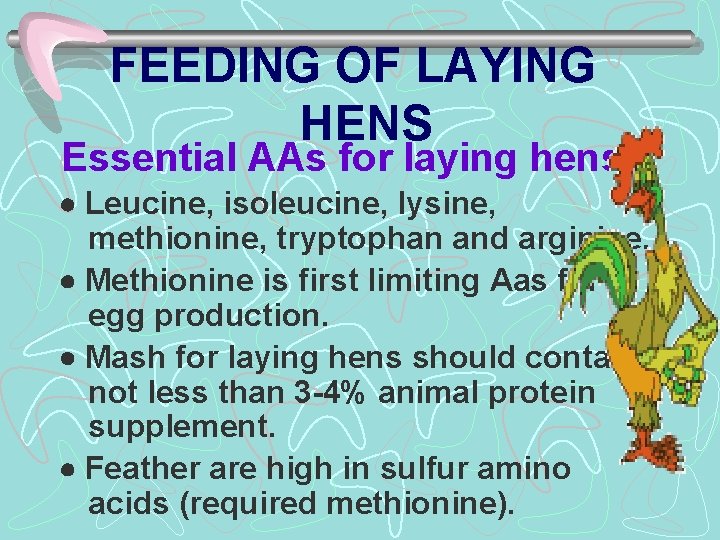 FEEDING OF LAYING HENS Essential AAs for laying hens: Leucine, isoleucine, lysine, methionine, tryptophan