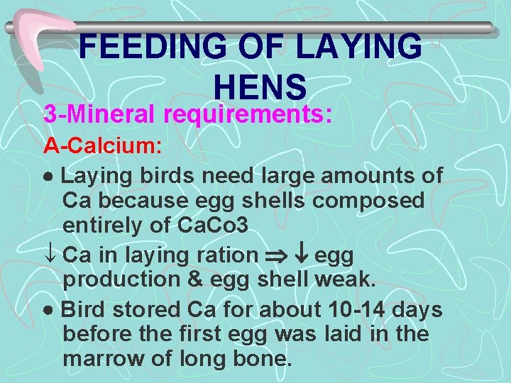 FEEDING OF LAYING HENS 3 -Mineral requirements: A-Calcium: Laying birds need large amounts of