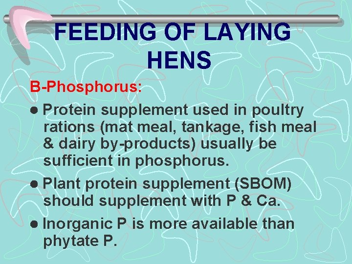 FEEDING OF LAYING HENS B-Phosphorus: Protein supplement used in poultry rations (mat meal, tankage,