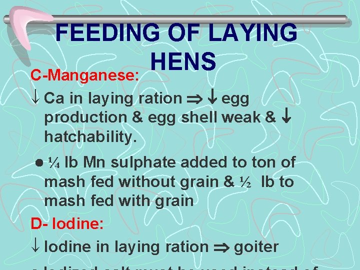 FEEDING OF LAYING HENS C-Manganese: ¯ Ca in laying ration egg production & egg