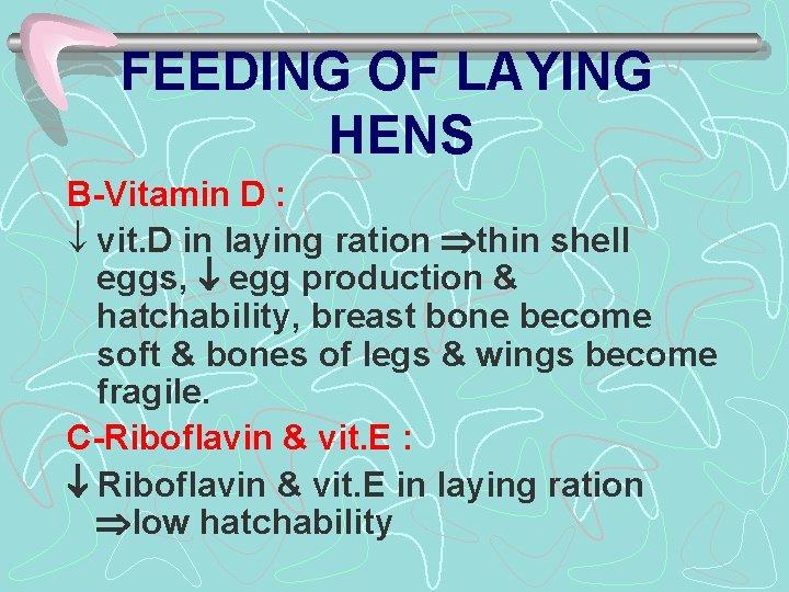 FEEDING OF LAYING HENS B-Vitamin D : ¯ vit. D in laying ration thin