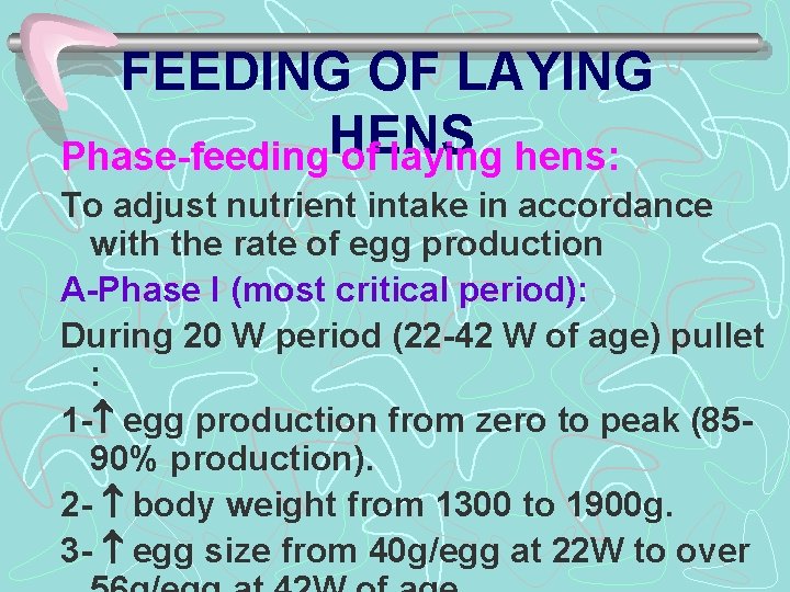 FEEDING OF LAYING HENS Phase-feeding of laying hens: To adjust nutrient intake in accordance