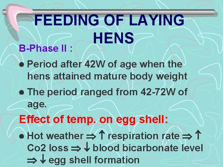 FEEDING OF LAYING HENS B-Phase II : Period after 42 W of age when